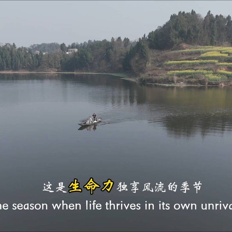 敢赴惊涛敢赴崖