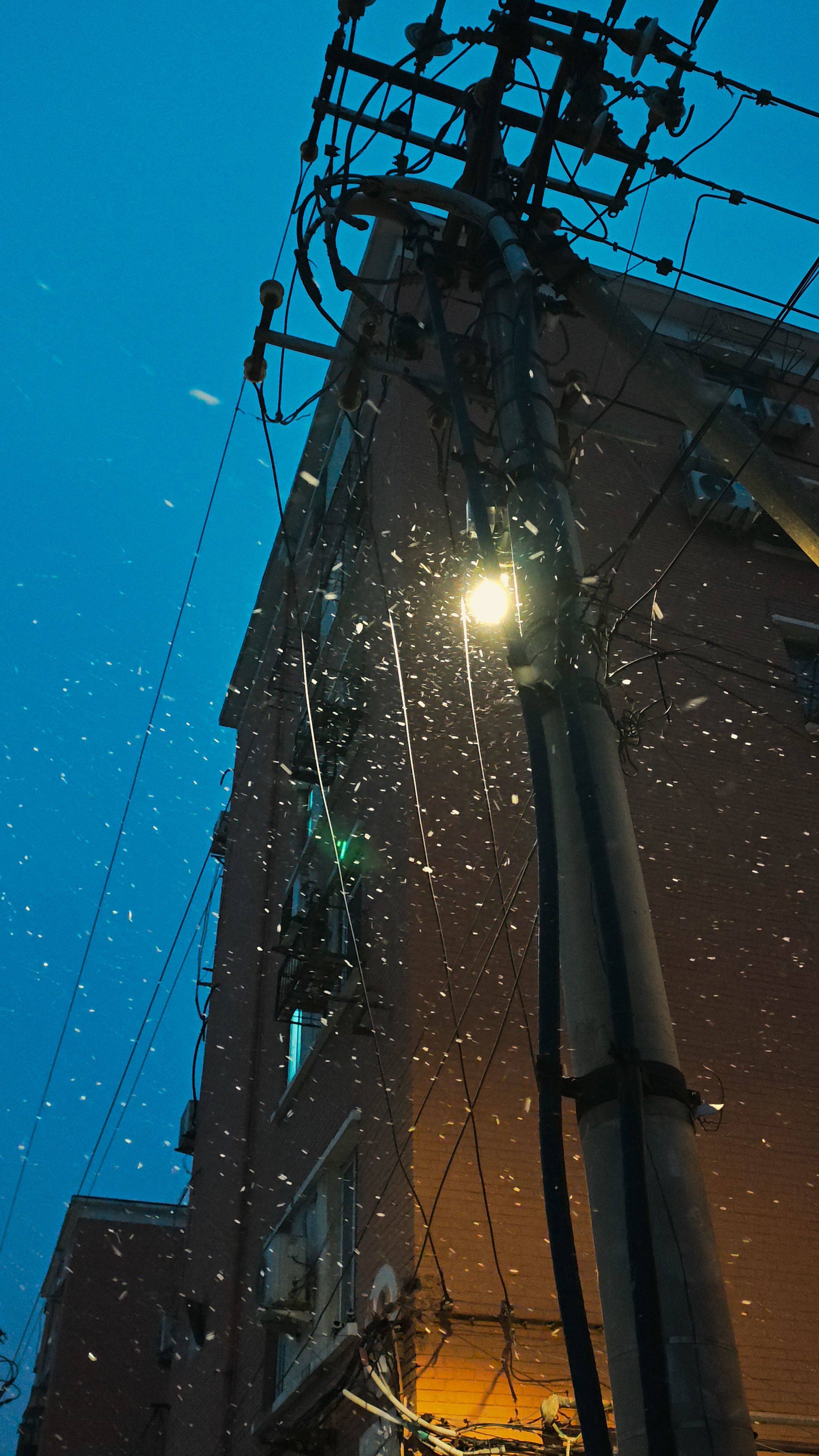 估计下次再看雪就是明年了吧