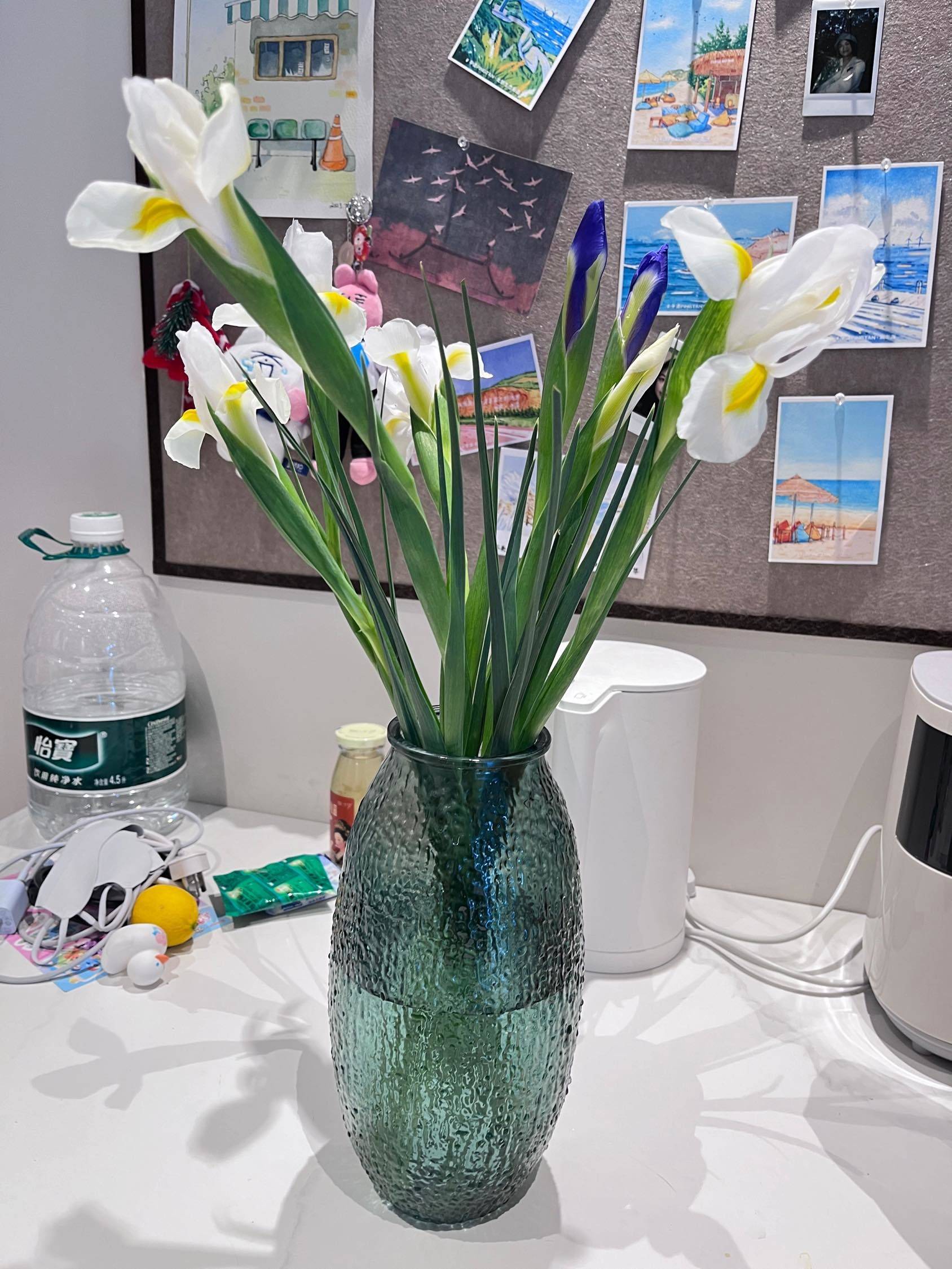 爱生活 我心爱的小角落 _1