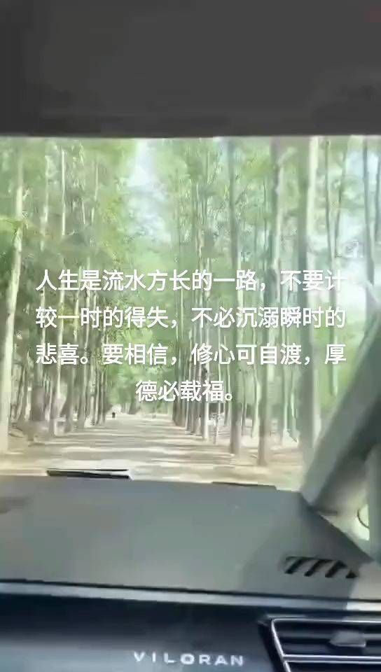  城市风光  驾车前行  静心之旅