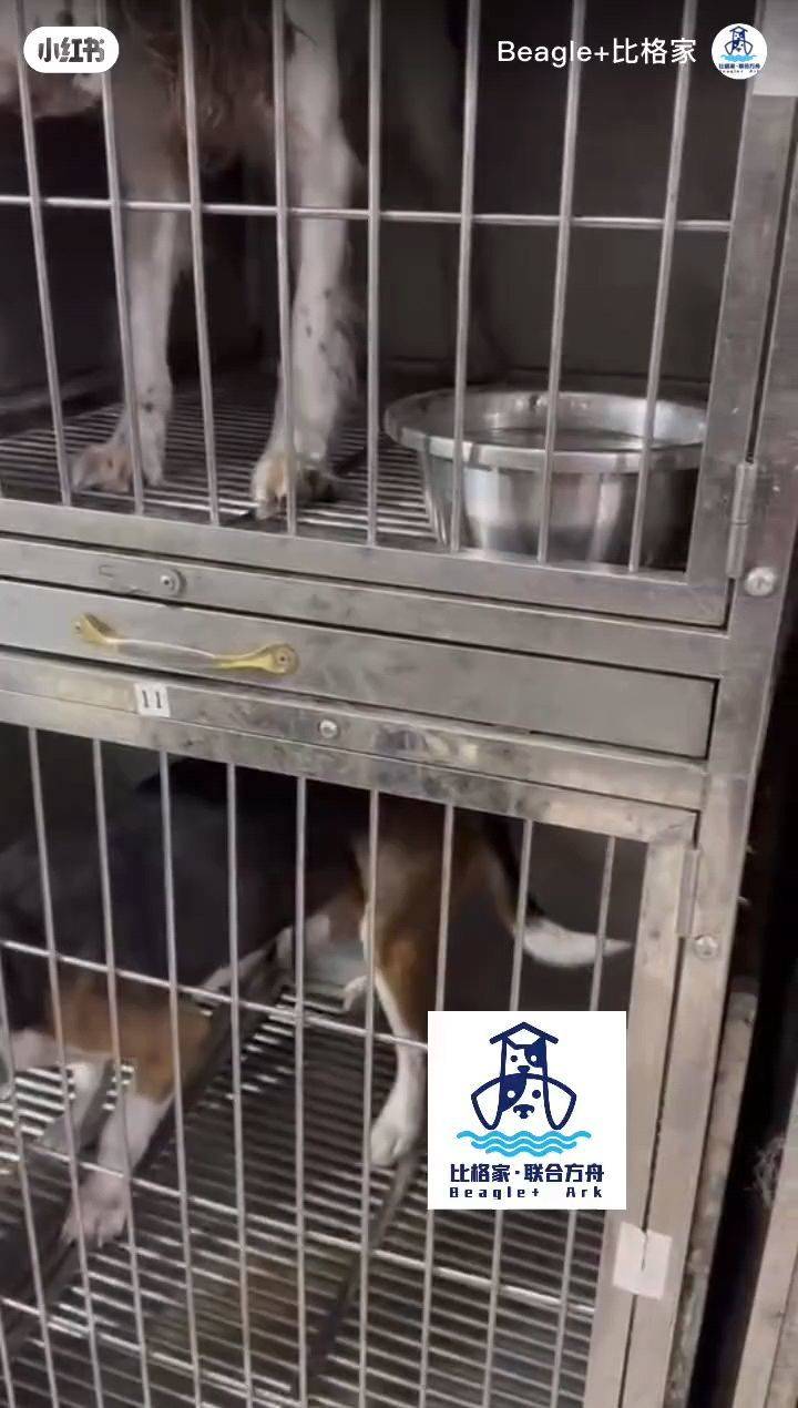 如果可以，请给我们一张“续命饭票”