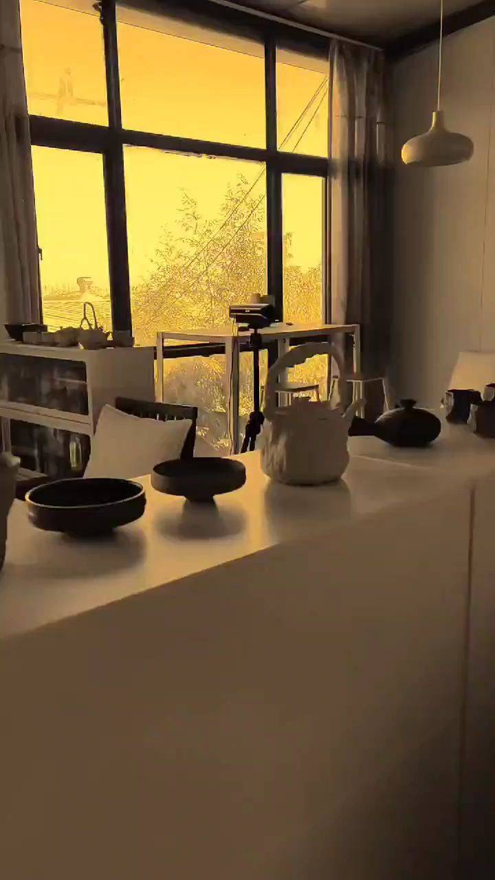 纵马踏花向自由