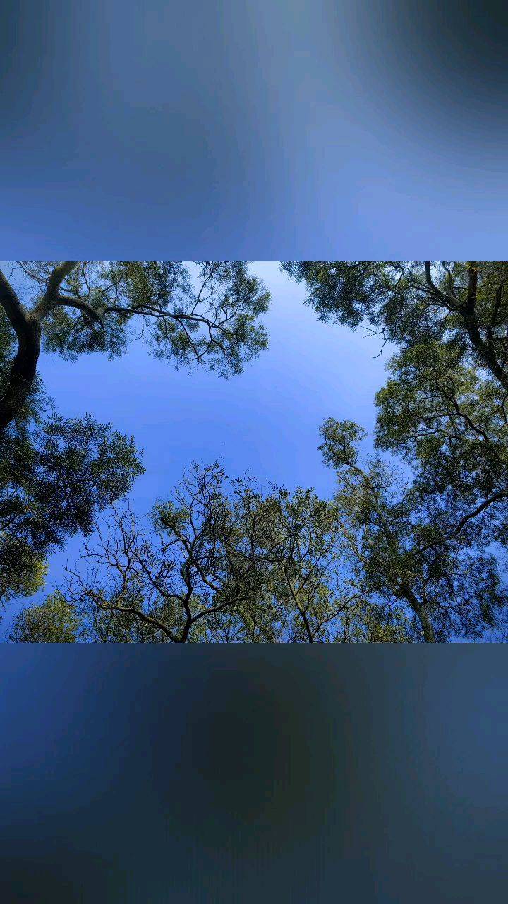 长乐四大名岩之一的竹田岩