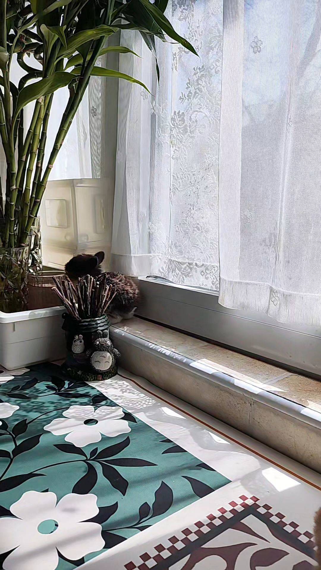  窗边小憩  阳光洒进来  午后时