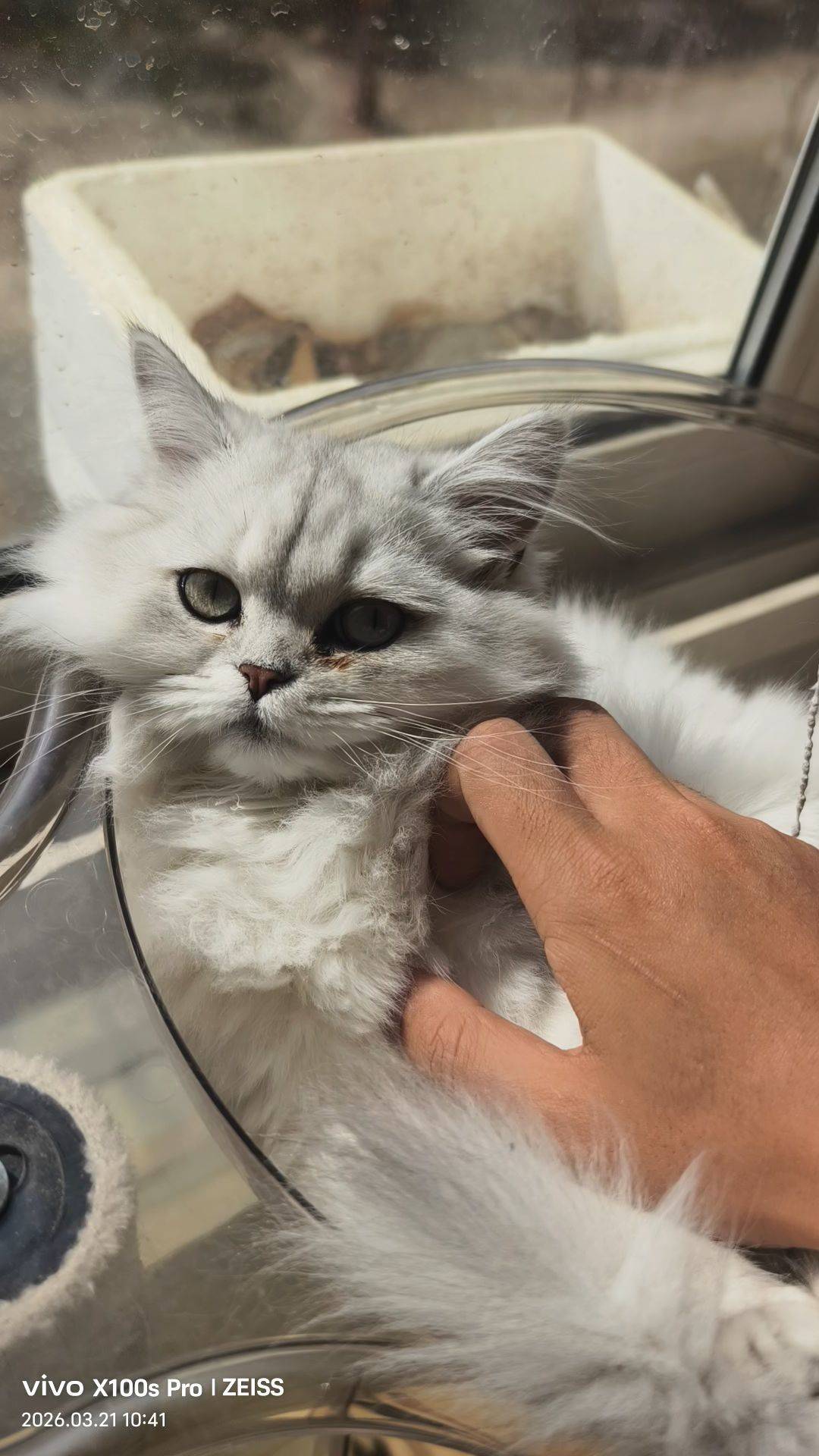 回龙观/霍营5月25租房