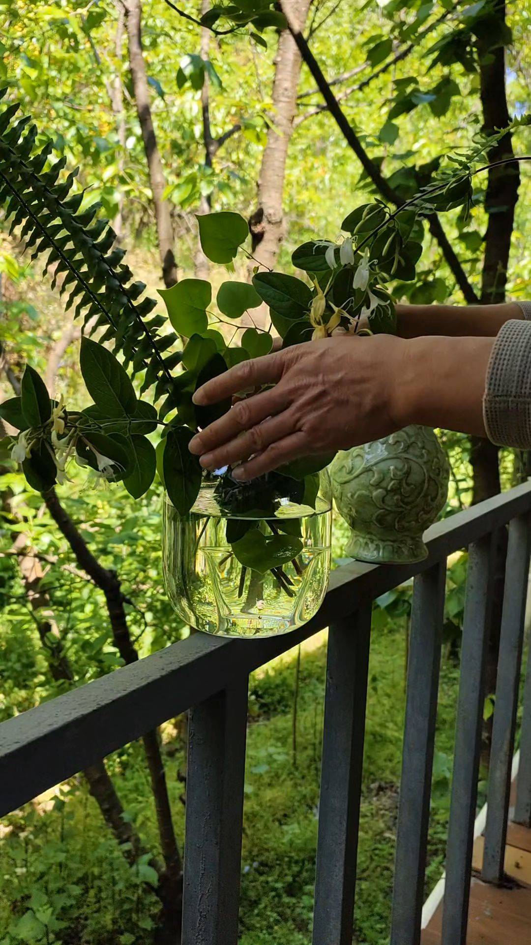 欢迎来我家撸铁搞豆豆