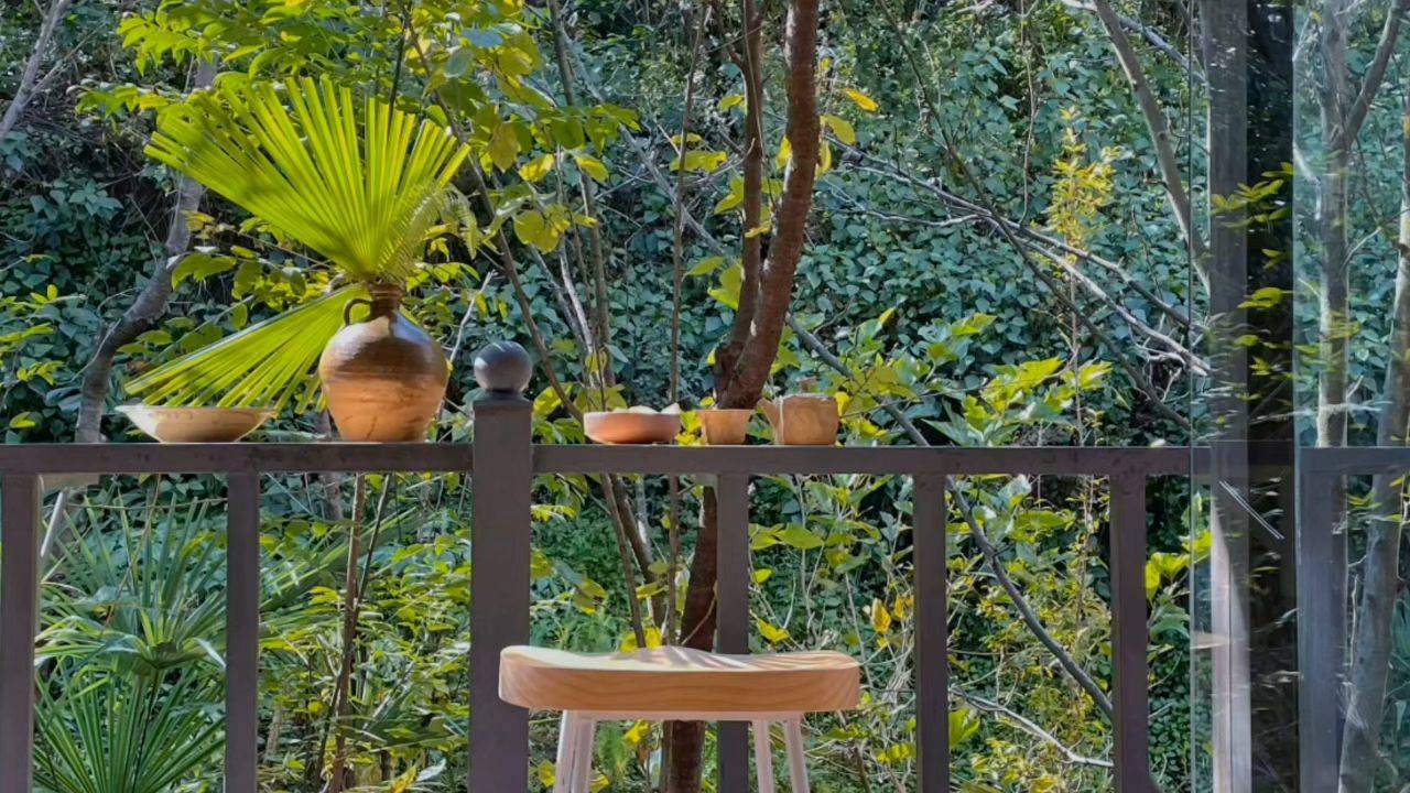 欢迎来我家｜免费捏杯子