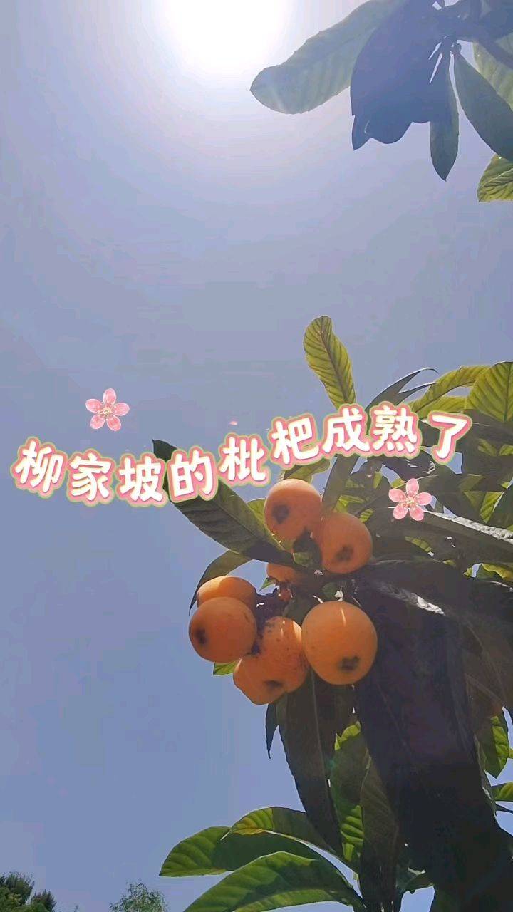 重庆的朋友，五一去哪儿玩？
推荐一个带幺
